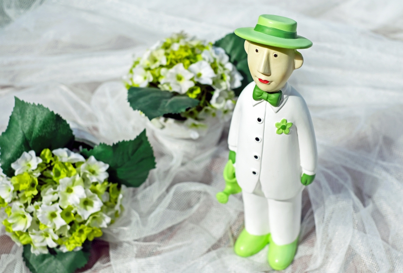 vitrine-ROQUEBILLIERE-min_man-person-flower-green-toy-fig-546529-pxhere.com